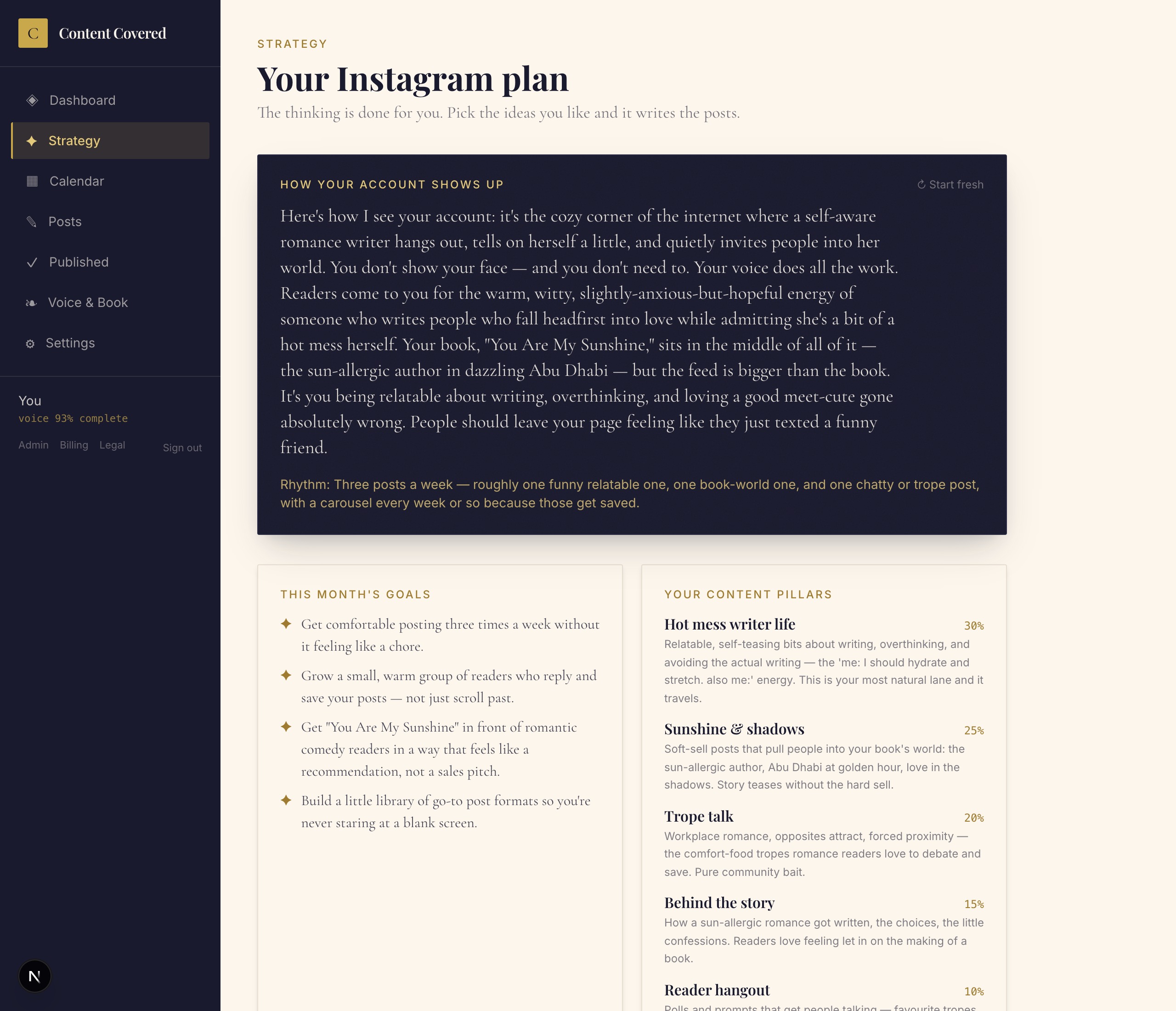 The strategy page showing positioning, goals, and content pillars